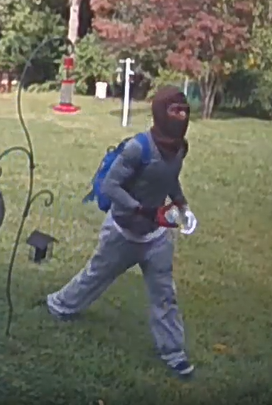 POLICE SEEK THE PUBLIC’S ASSISTANCE IN IDENTIFYING BURGLARY SUSPECT ...